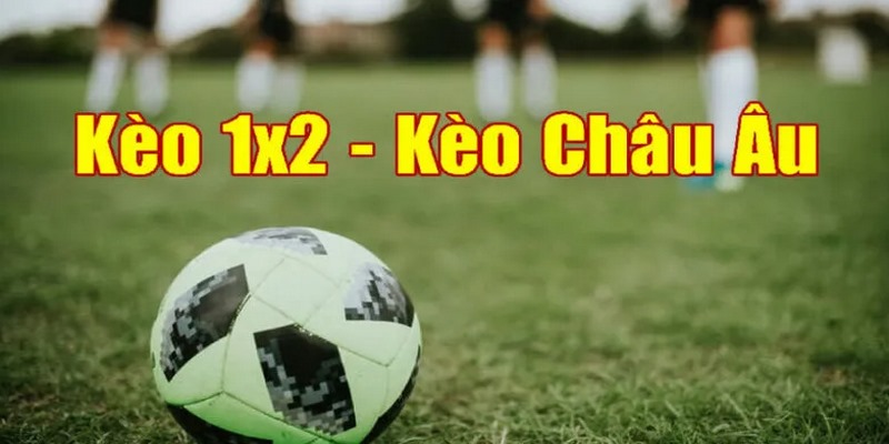 Kèo Nhà Cái đa dạng với kèo châu Á, tài xỉu